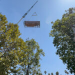 Crane lifting a pool in a transport frame between trees.
